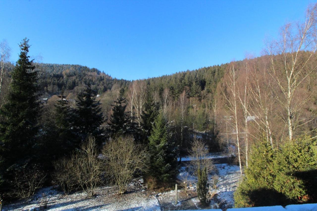 Home-Im-Harz Lautenthal Kültér fotó